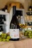Etna Bianco Contrada Calderara DOC - Cottanera
