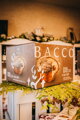 BACCO Panettone s kakaovým krémom 900g