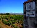 PASSOPISCIARO - Contrada P IGP 2017 0,75 l