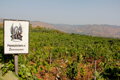 Passopisciaro - Contrada S IGP 2019 0,75l