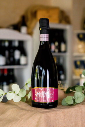ELITE VINE - Lambrusco Monte Magico  DOP 0,75l